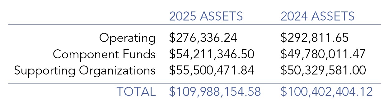 Financial Table with Lines